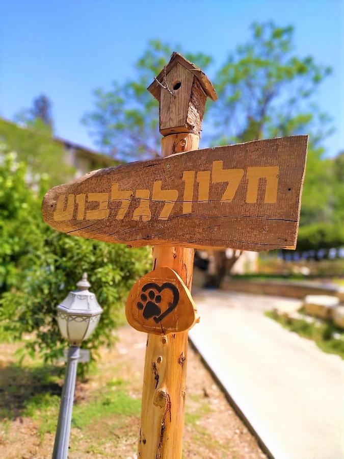 חלון לגלבוע צימר בוטיק בעמק המעיינות Bet Alfa Bagian luar foto