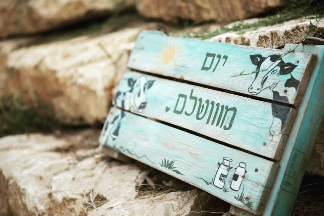חלון לגלבוע צימר בוטיק בעמק המעיינות Bet Alfa Bagian luar foto